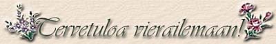 T��lt� l�yd�t perustiedot ilman kuvia