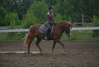 Sampo