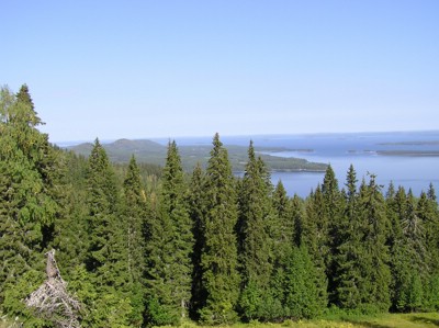 P1010094.JPG