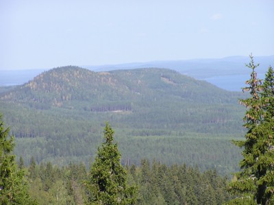 P1010097.JPG