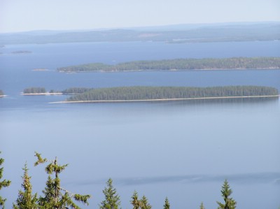 P1010098.JPG