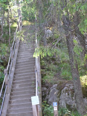 P1010102.JPG