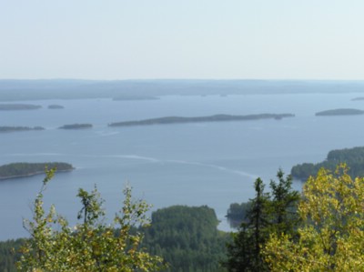 P1010108.JPG