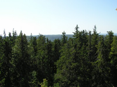 P1010109.JPG