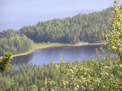 P1010117.JPG