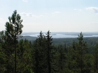 P1010148.JPG
