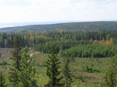 P1010149.JPG