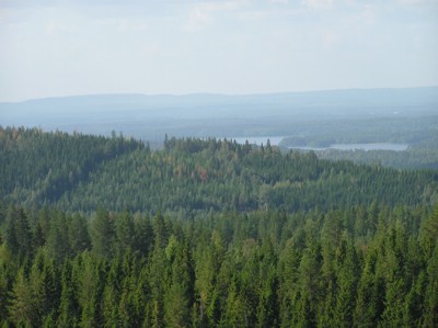P1010151.JPG