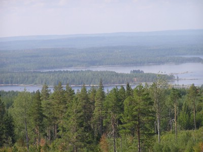 P1010152.JPG