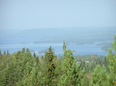 P1010153.JPG