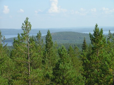 P1010154.JPG