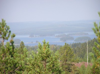 P1010156.JPG