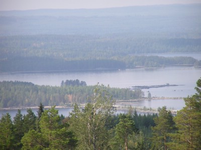 P1010157.JPG