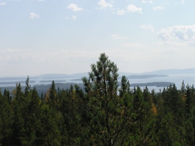 P1010163.JPG