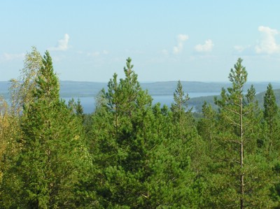 P1010164.JPG