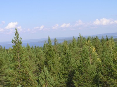 P1010165.JPG