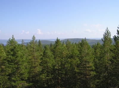 P1010166.JPG