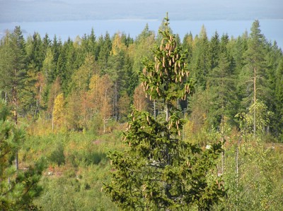 P1010174.JPG