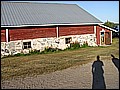 P1010046.JPG