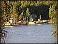 P1010047.JPG