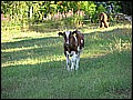 P1010050.JPG