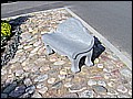 P1010062.JPG