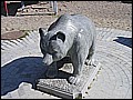 P1010074.JPG
