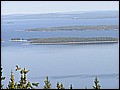 P1010098.JPG