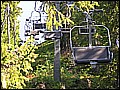 P1010100.JPG
