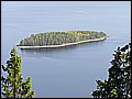 P1010106.JPG