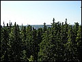 P1010109.JPG