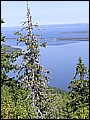 P1010120.JPG