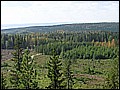 P1010149.JPG