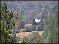 P1010150.JPG
