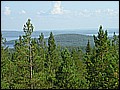 P1010154.JPG