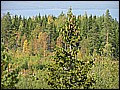 P1010174.JPG