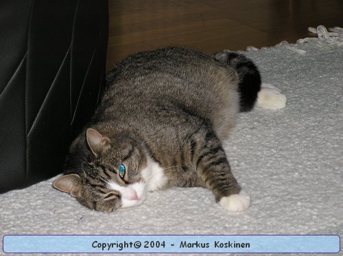 PC270128.JPG