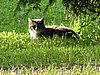 P8020099.JPG