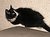 PC270125.JPG