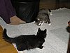 PC270127.JPG
