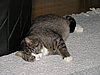 PC270128.JPG