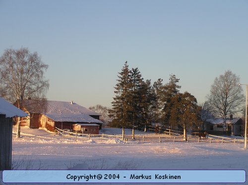 PC260020.JPG