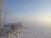 P1010011.JPG