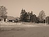 PC260030.JPG