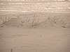 PC260038.JPG