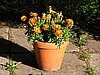P7250006.JPG