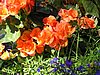 P7250093.JPG