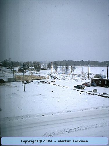 IMG_0017.jpg